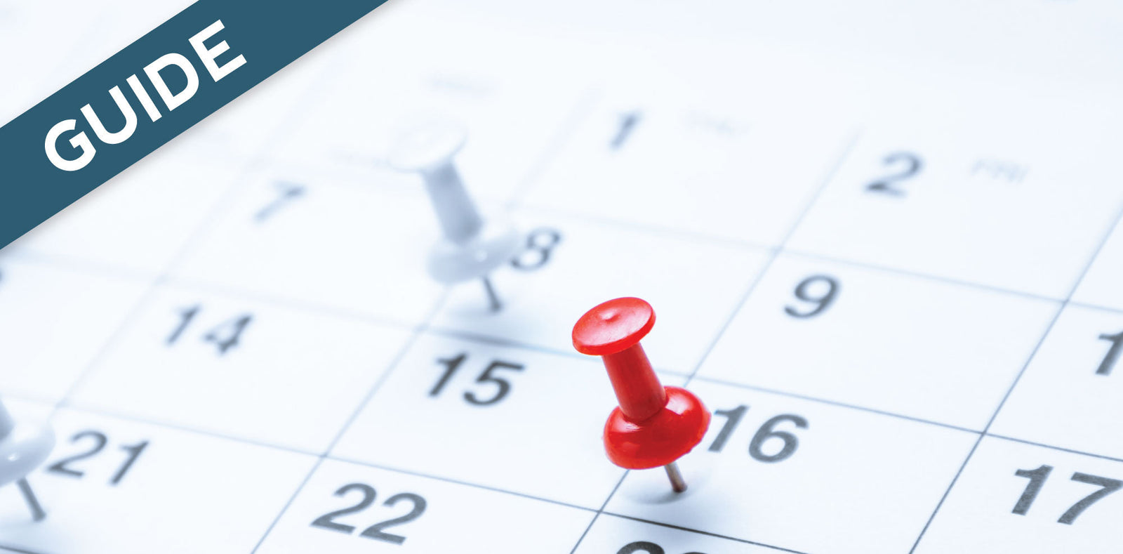 How often should you pump your septic system? It depends on how many people live with you, how much water you use, and how big your tank is. Read more here!