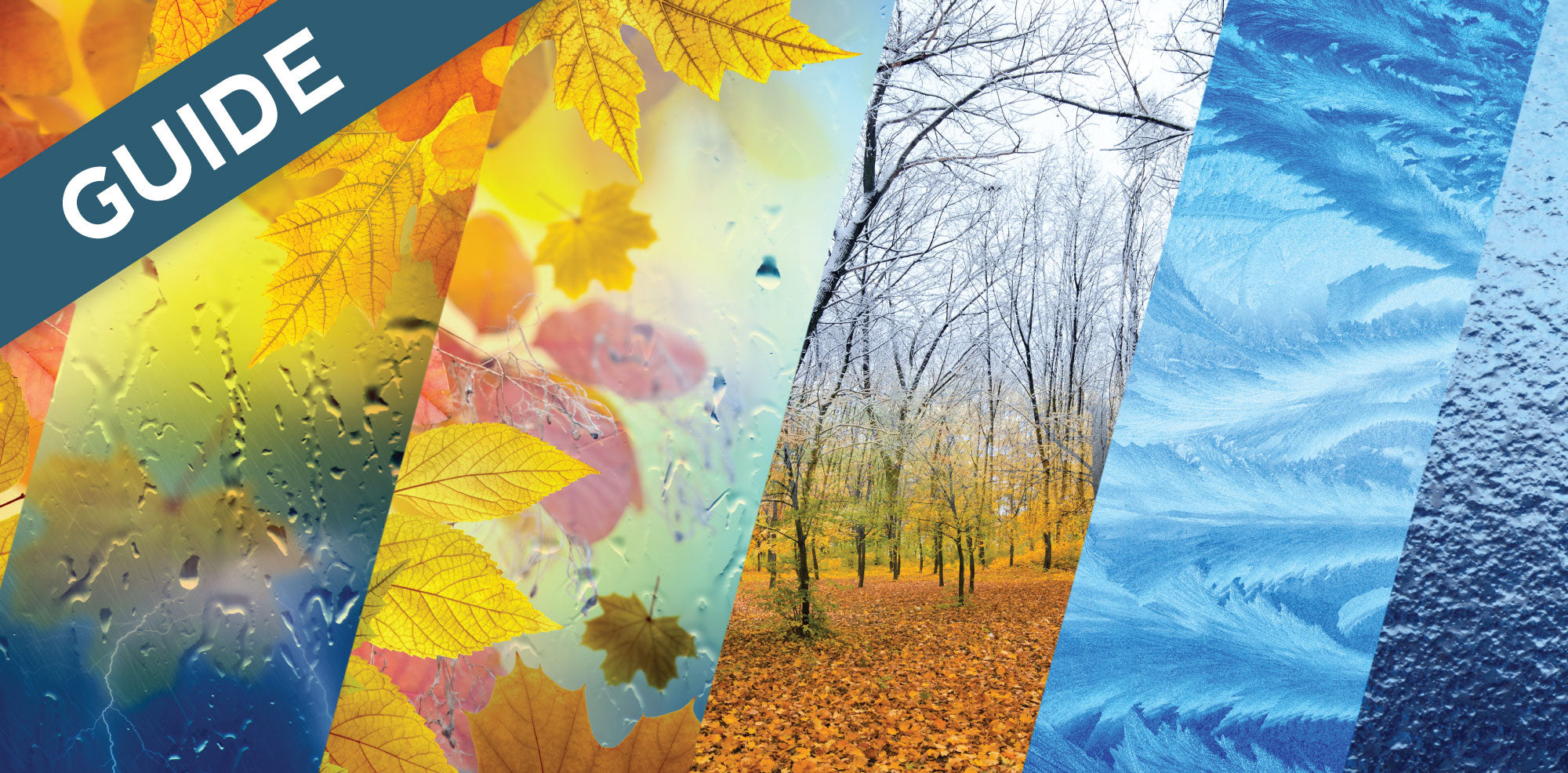 Seasonal Changes stock illustrations